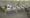 K-3 E-Mac Lab