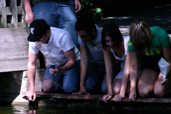Fishing - You just stick yur finger in their mouth