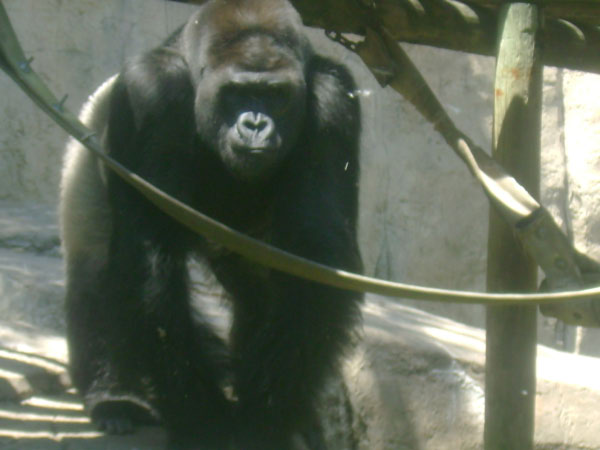 FtWorth Zoo