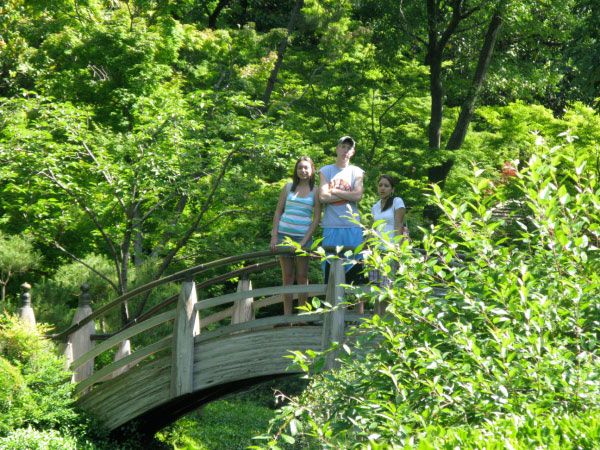 Japanese Gardens 12