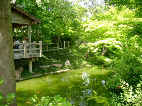 Japanese Gardens