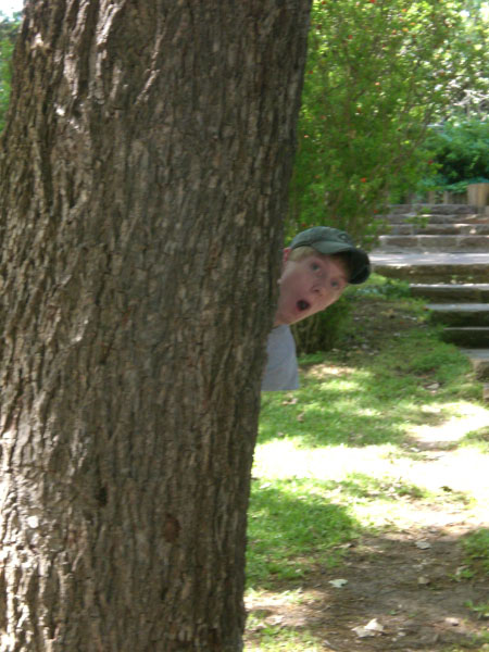 No Bathrooms at the Gardens