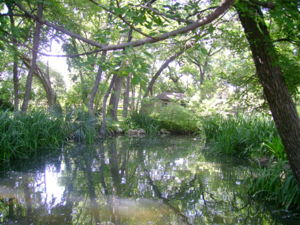 The Botanical Gardens