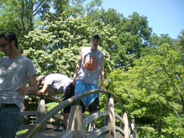 The bridge troll