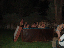 DSC00925