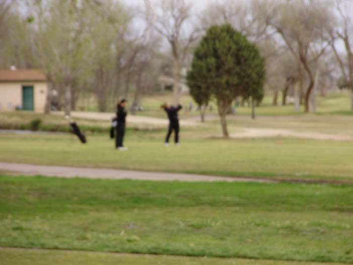 Golf 2009 002