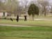 Golf 2009 002