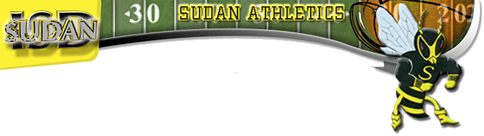 Sudan Athletics Image