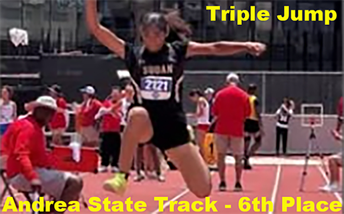 State Triple Jump