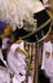 hatontrombone