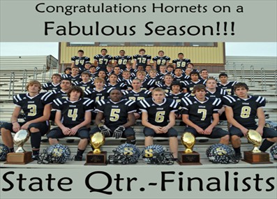 Hornets