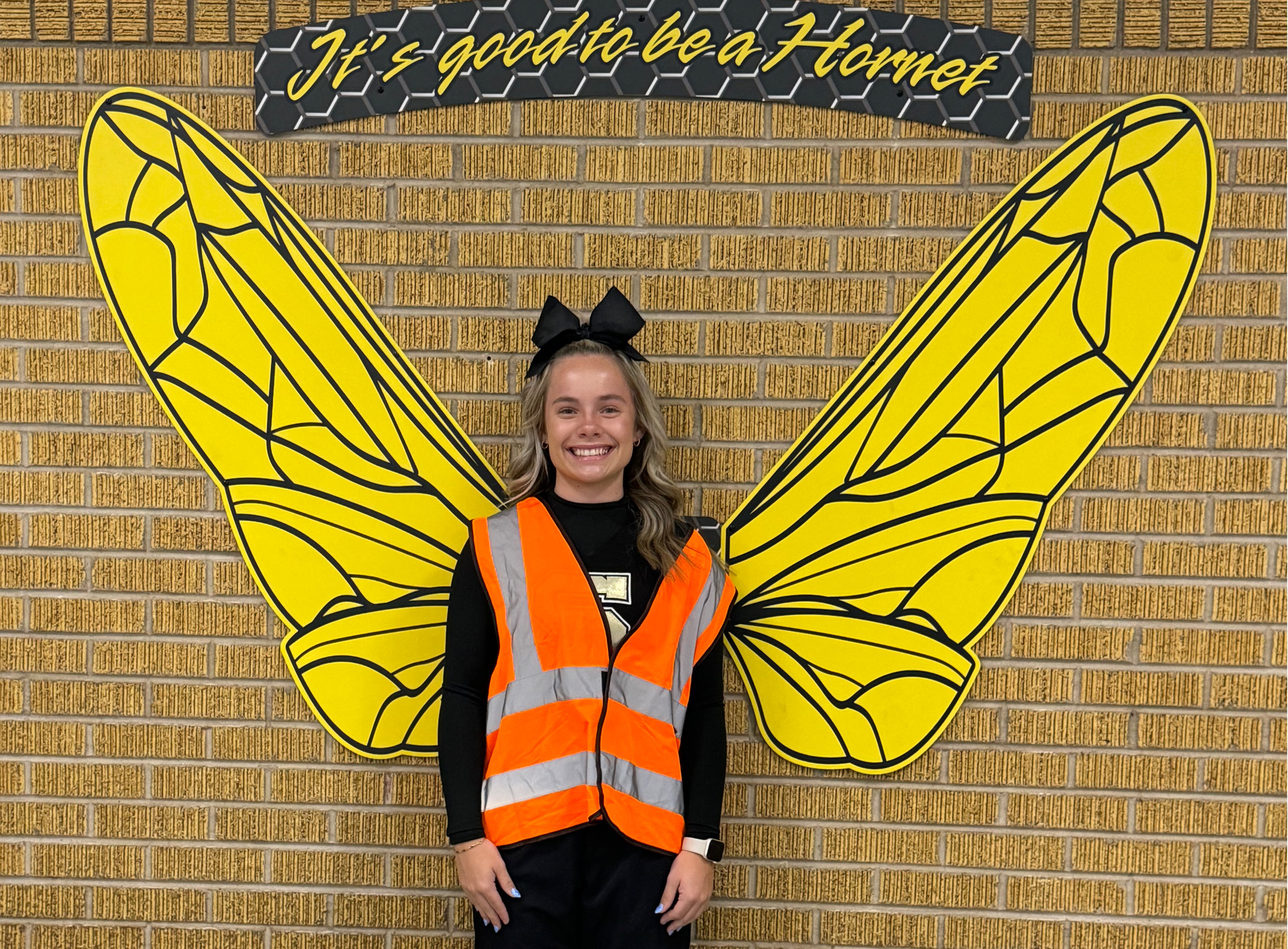 Hornet Wings