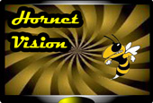 hornet vision