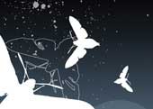 illustration of moths